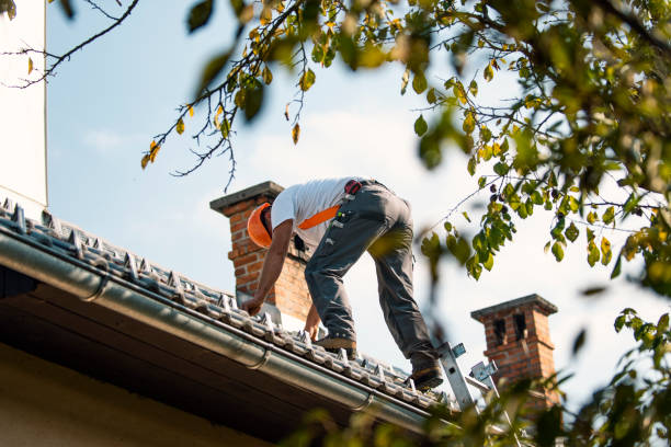 Roof Gutter Cleaning in Ozona, TX