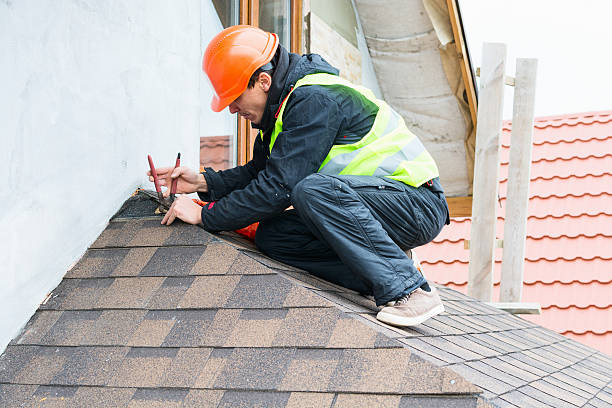 Best Roof Gutter Cleaning  in Ozona, TX