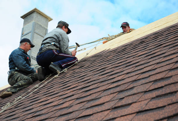 Best Storm Damage Roof Repair  in Ozona, TX
